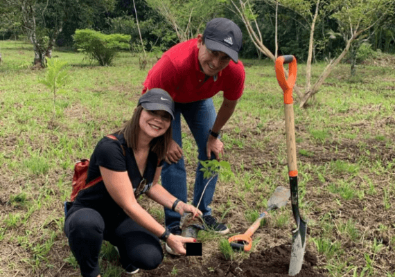 voluntariados para empresas