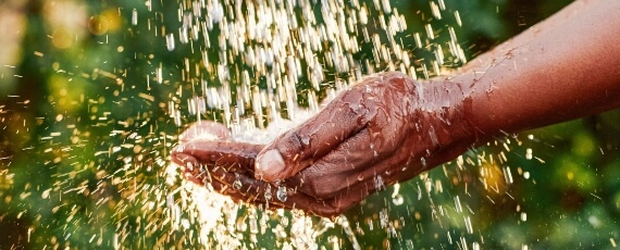 taller sostenibilidad empresarial